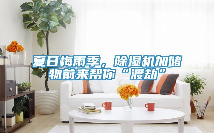 夏日梅雨季,除濕機加儲物前來幫你“渡劫”