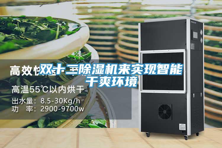雙十二除濕機來實現智能干爽環境