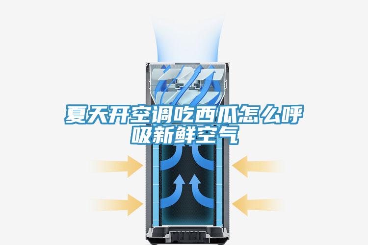 夏天開空調吃西瓜怎么呼吸新鮮空氣