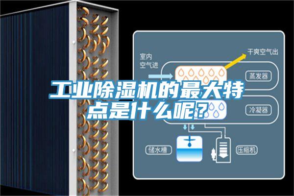 工業除濕機的最大特點是什么呢？