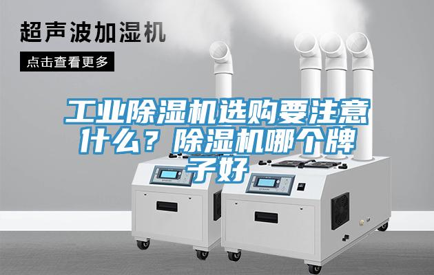 工業除濕機選購要注意什么？除濕機哪個牌子好