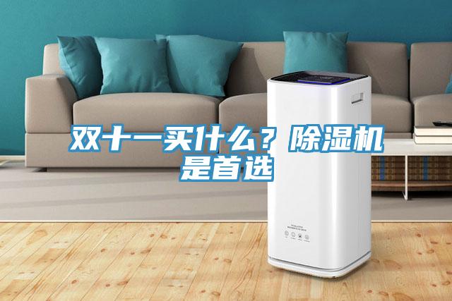 雙十一買什么？除濕機是首選