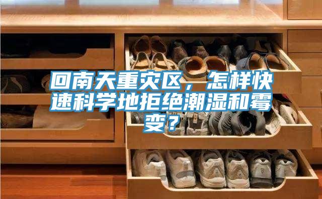 回南天重災區，怎樣快速科學地拒絕潮濕和霉變？