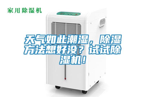 天氣如此潮濕，除濕方法想好沒？試試除濕機！