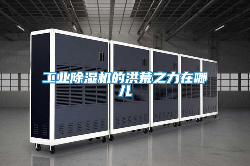 工業除濕機的洪荒之力在哪兒