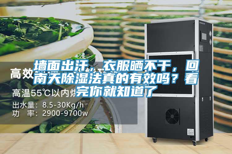 墻面出汗，衣服曬不干，回南天除濕法真的有效嗎？看完你就知道了