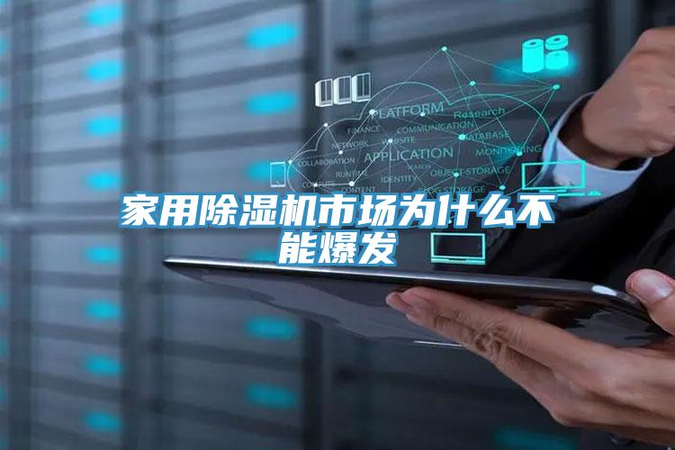 家用除濕機(jī)市場為什么不能爆發(fā)