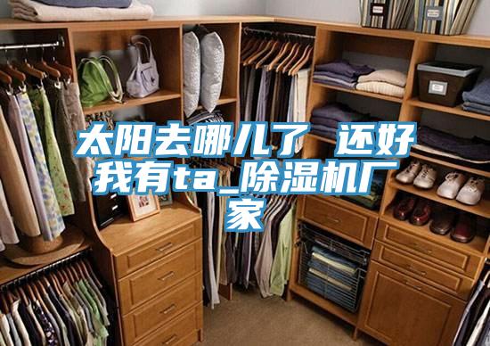 太陽去哪兒了 還好我有ta_除濕機廠家