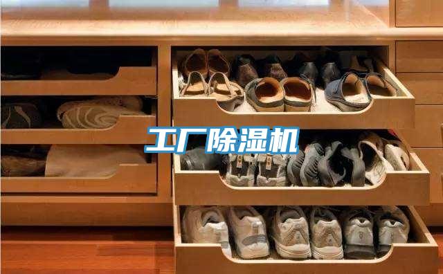 工廠除濕機