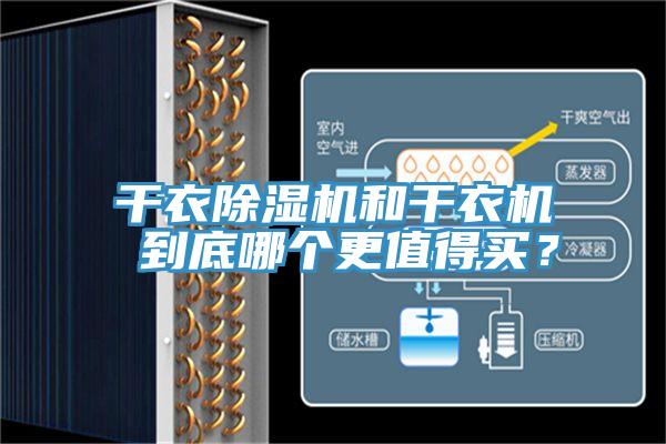 干衣除濕機和干衣機 到底哪個更值得買？