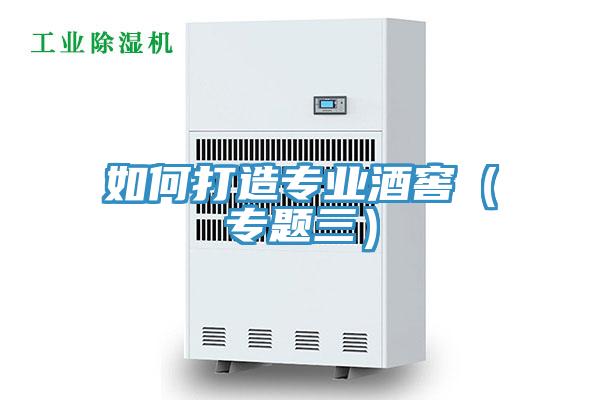 如何打造專業酒窖（專題三）