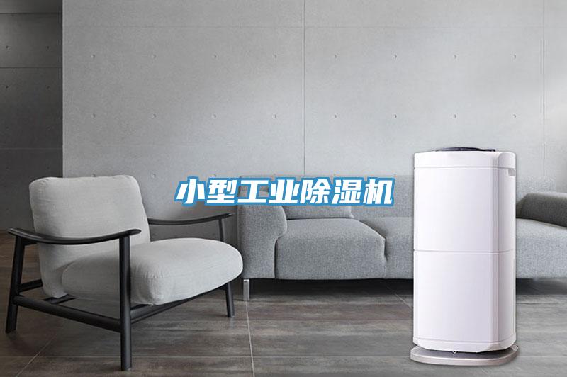 小型工業(yè)除濕機