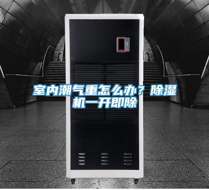 室內潮氣重怎么辦?除濕機一開即除