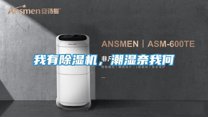 我有除濕機(jī)，潮濕奈我何