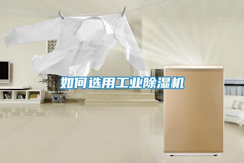如何選用工業除濕機