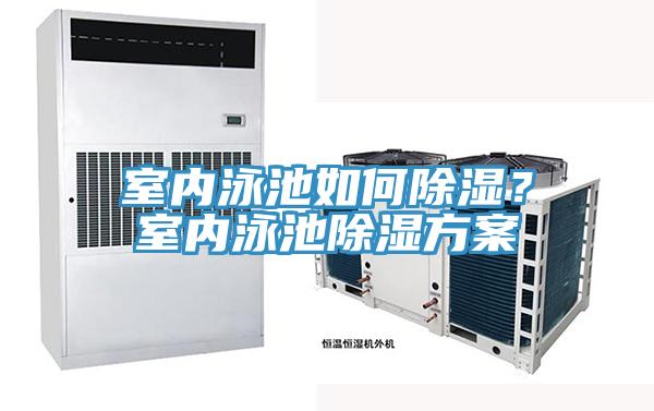 室內泳池如何除濕？室內泳池除濕方案