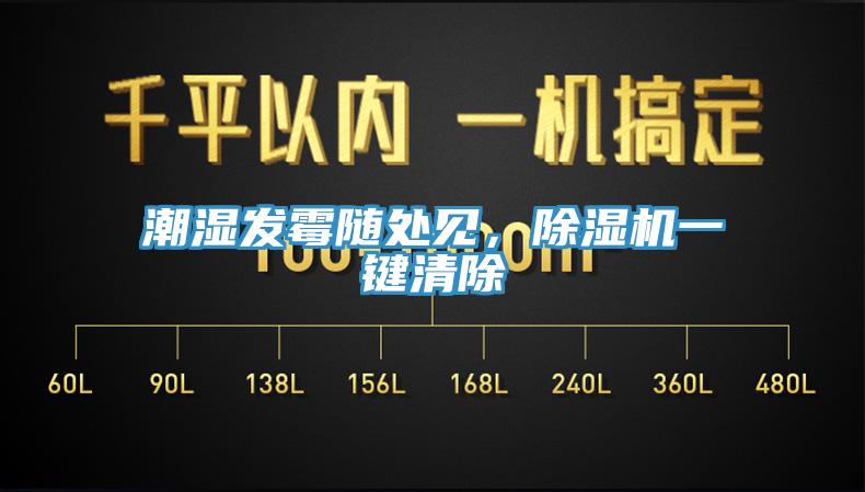潮濕發霉隨處見，除濕機一鍵清除