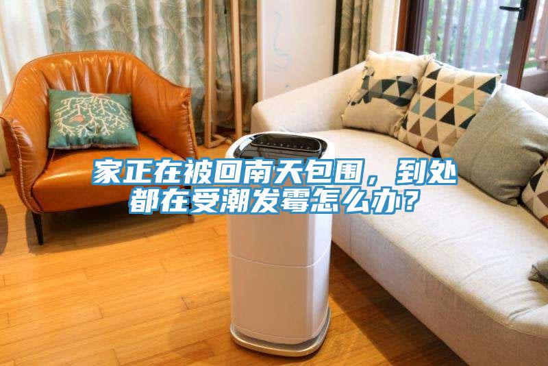 家正在被回南天包圍,到處都在受潮發霉怎么辦?