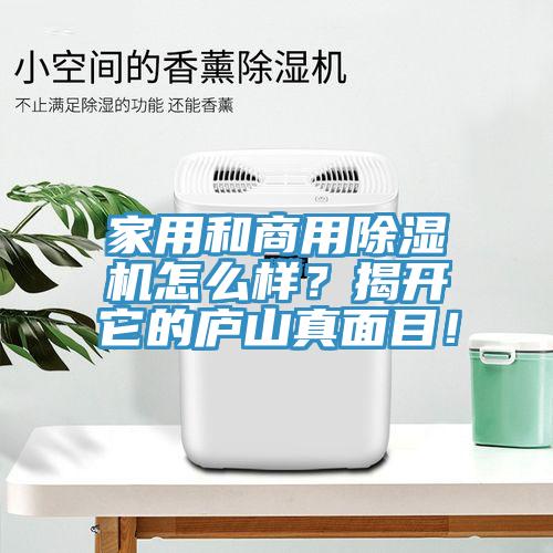 家用和商用除濕機怎么樣?揭開它的廬山真面目!