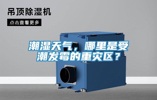 潮濕天氣，哪里是受潮發(fā)霉的重災(zāi)區(qū)？