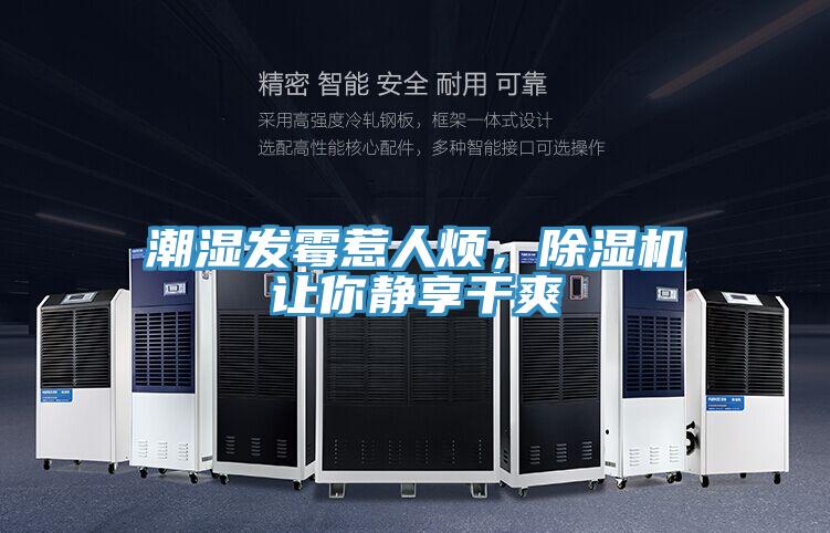 潮濕發霉惹人煩，除濕機讓你靜享干爽