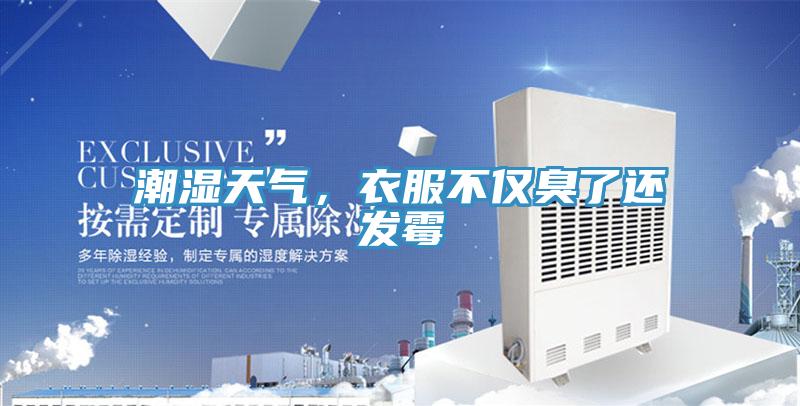 潮濕天氣，衣服不僅臭了還發霉
