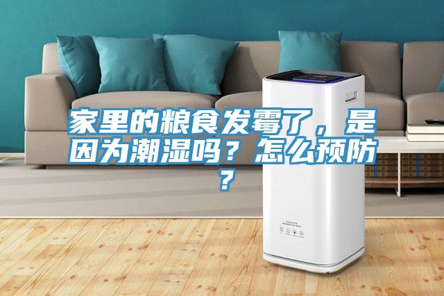 家里的糧食發霉了，是因為潮濕嗎？怎么預防？