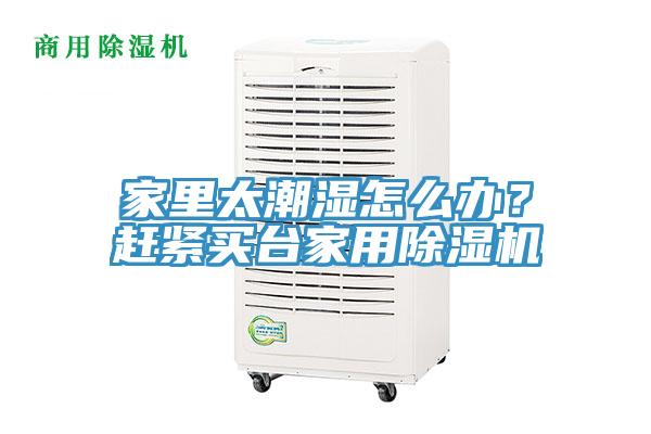 家里太潮濕怎么辦？趕緊買臺家用除濕機