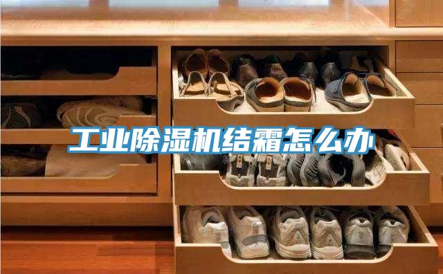 工業除濕機結霜怎么辦
