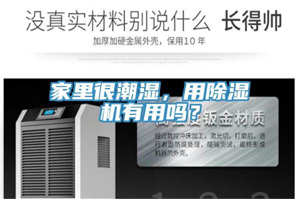 家里很潮濕，用除濕機有用嗎？