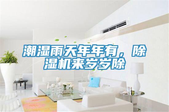潮濕雨天年年有，除濕機(jī)來歲歲除