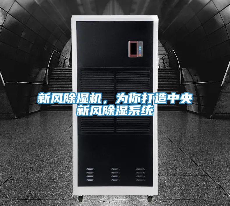 新風(fēng)除濕機(jī)，為你打造中央新風(fēng)除濕系統(tǒng)