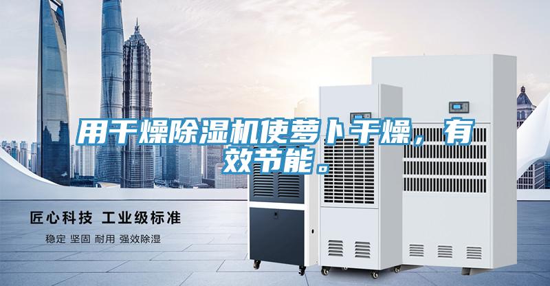 用干燥除濕機使蘿卜干燥，有效節能。