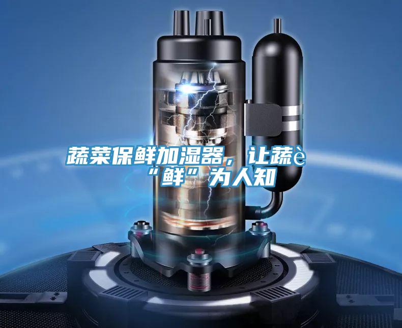 蔬菜保鮮加濕器，讓蔬菜“鮮”為人知