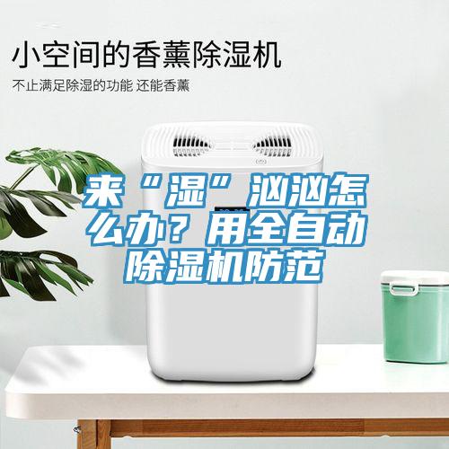 來(lái)“濕”洶洶怎么辦？用全自動(dòng)除濕機(jī)防范
