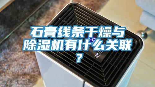 石膏線條干燥與除濕機有什么關聯？