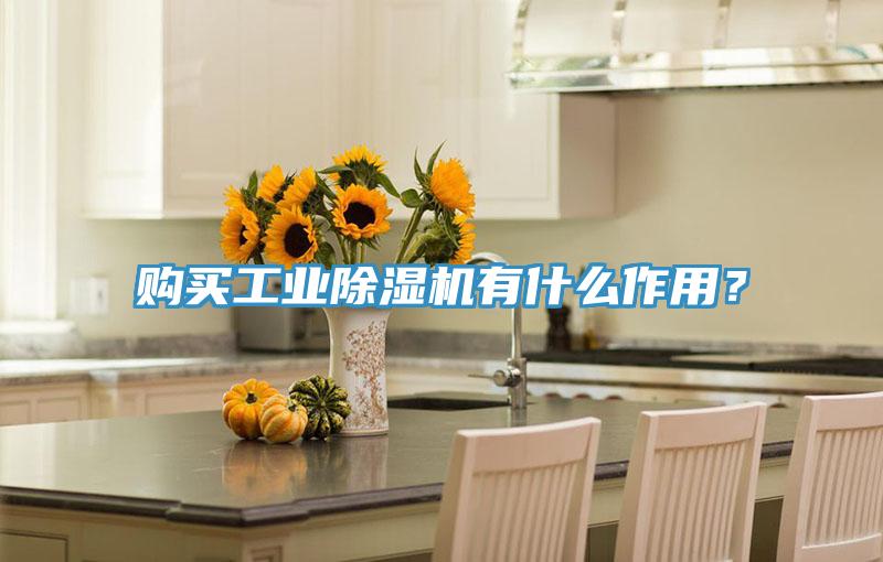 購(gòu)買工業(yè)除濕機(jī)有什么作用？