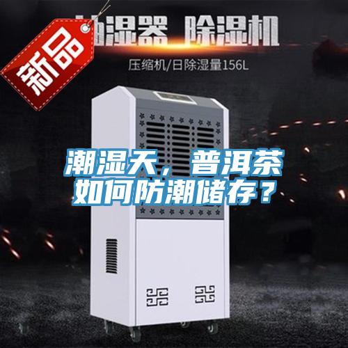 潮濕天，普洱茶如何防潮儲存？