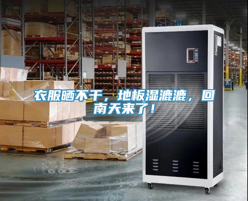 衣服曬不干，地板濕漉漉，回南天來(lái)了！