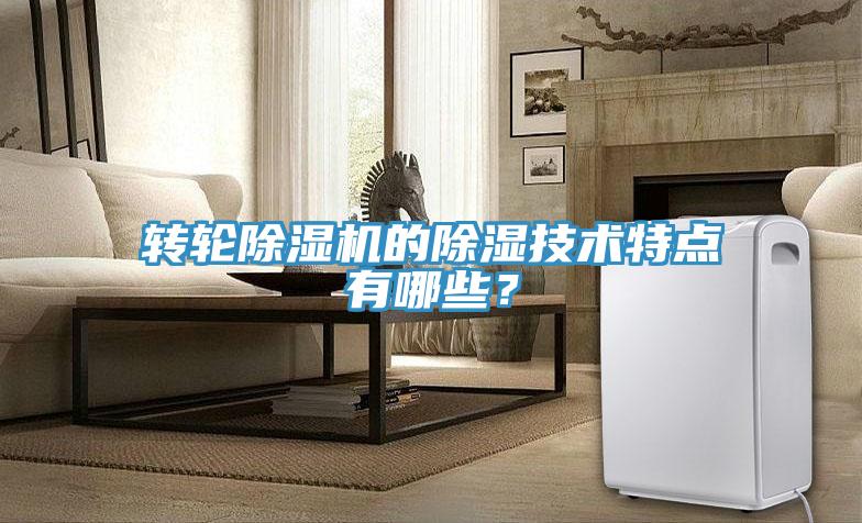 轉輪除濕機的除濕技術特點有哪些?