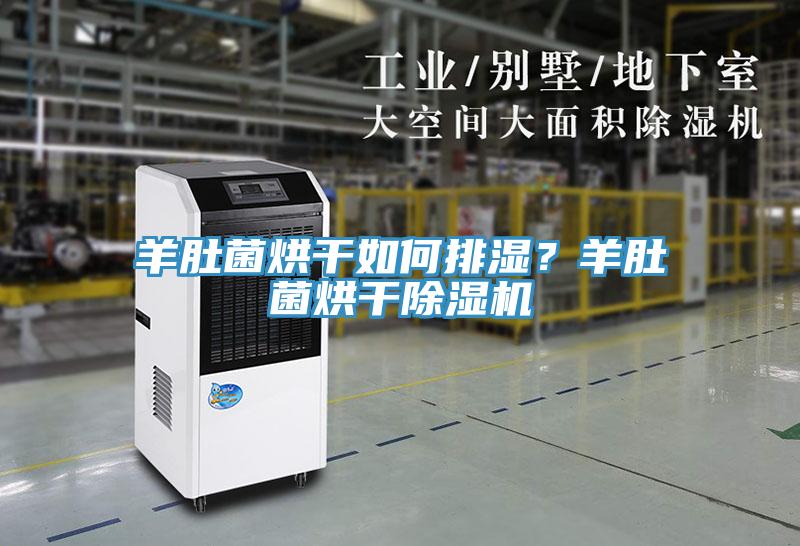 羊肚菌烘干如何排濕？羊肚菌烘干除濕機