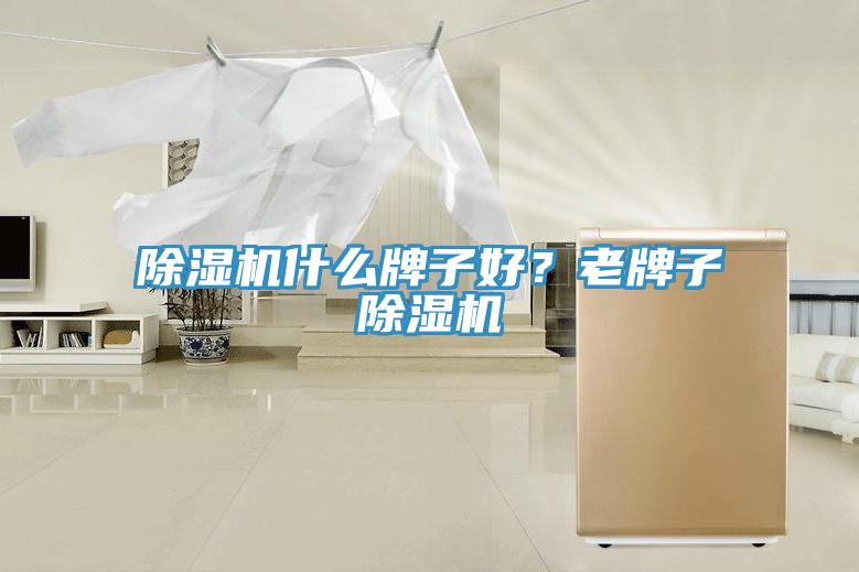 除濕機(jī)什么牌子好？老牌子除濕機(jī)