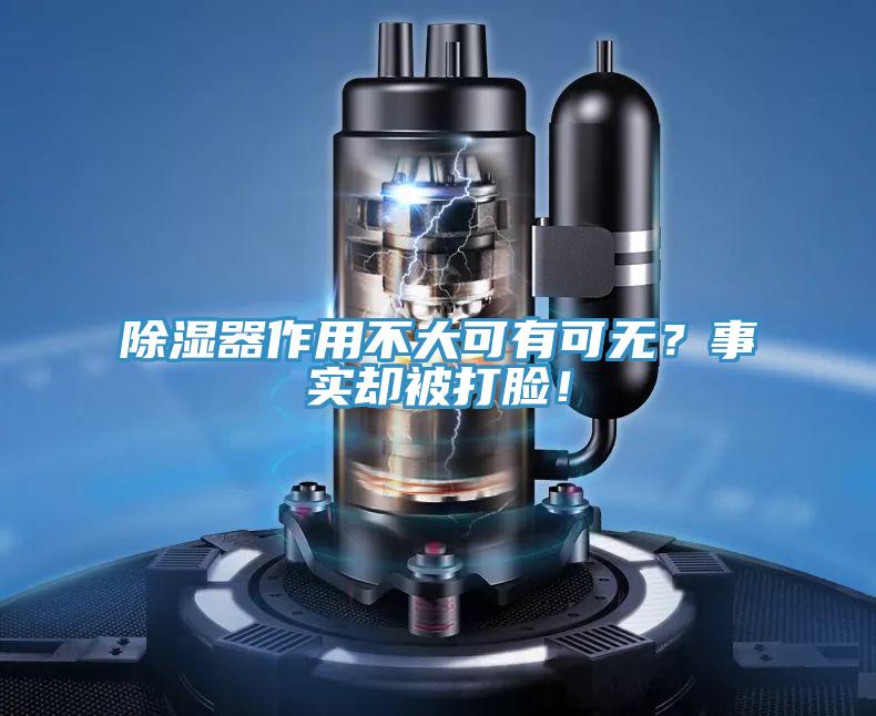 除濕器作用不大可有可無？事實(shí)卻被打臉！