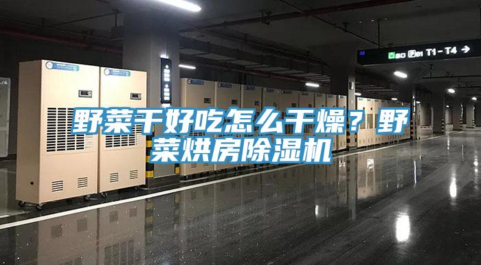 野菜干好吃怎么干燥？野菜烘房除濕機
