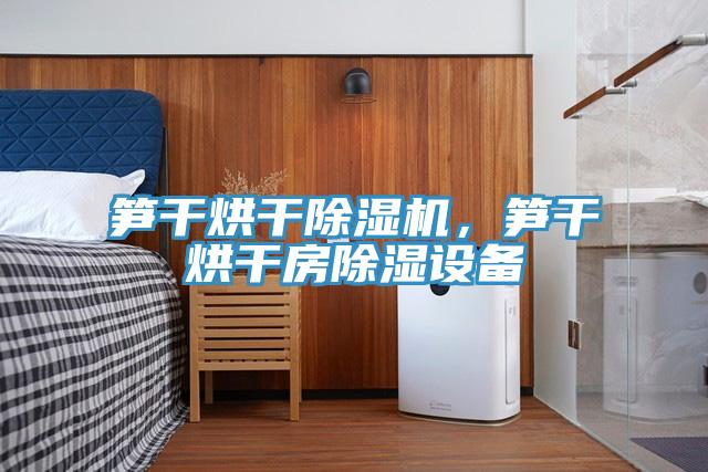 筍干烘干除濕機(jī)，筍干烘干房除濕設(shè)備