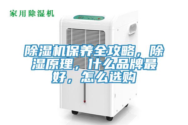除濕機保養全攻略，除濕原理，什么品牌最好，怎么選購