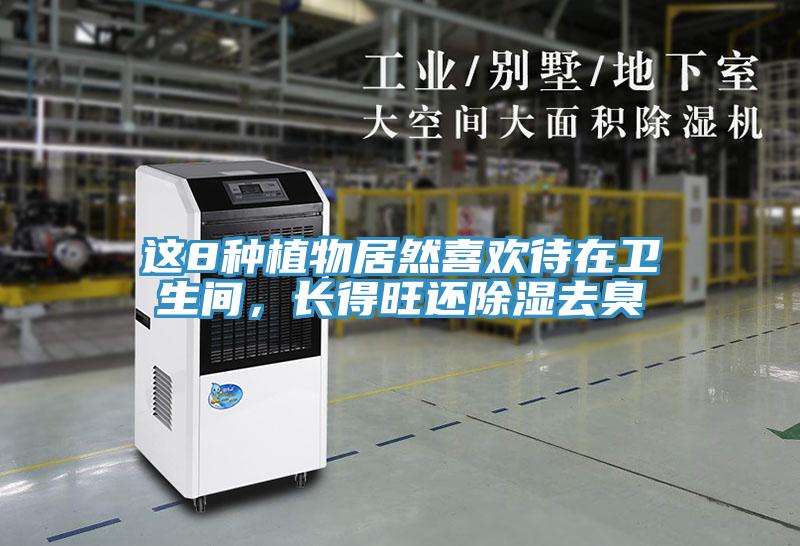 這8種植物居然喜歡待在衛生間，長得旺還除濕去臭