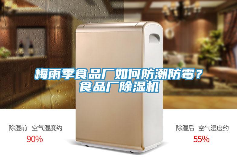 梅雨季食品廠如何防潮防霉？食品廠除濕機