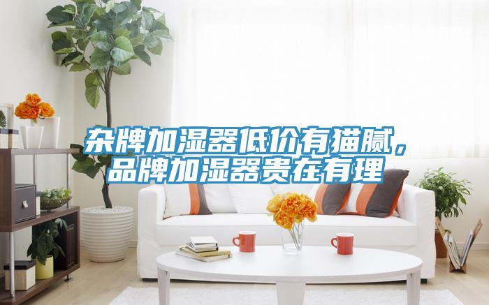 雜牌加濕器低價有貓膩，品牌加濕器貴在有理