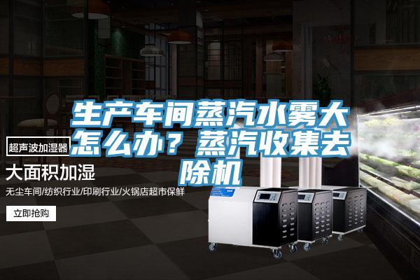 生產車間蒸汽水霧大怎么辦？蒸汽收集去除機